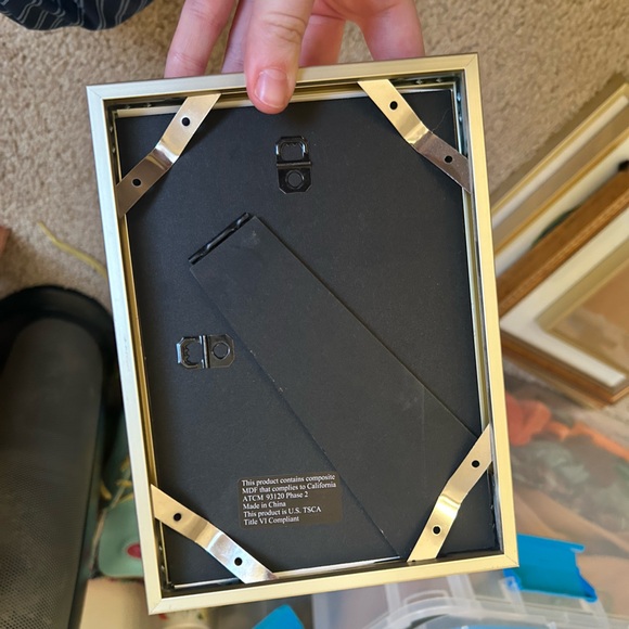 Snake in gold frame - Picture 2 of 2